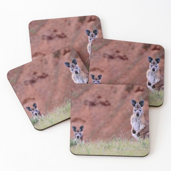 Item preview, 'Startled Wallabies' designed and sold by Likoca Photography.