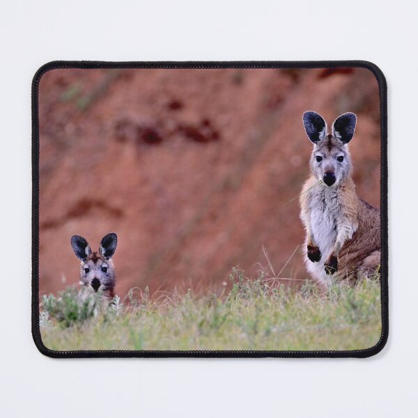 Item preview, 'Startled Wallabies' designed and sold by Likoca Photography.