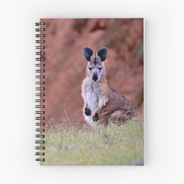Item preview, 'Startled Wallabies' designed and sold by Likoca Photography.