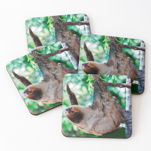 Item preview, sloth image designed and sold by REVOLVE ART 67.
