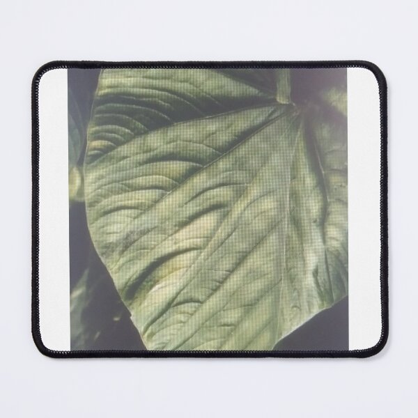 Item preview, Green loaf on the forest designed and sold by bhabanerjee.
