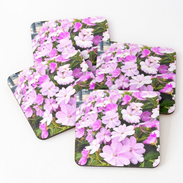 Item preview, Pink Flowers with Water Droplets in Hong Kong – Botanical Garden Photography designed and sold by pbchan.