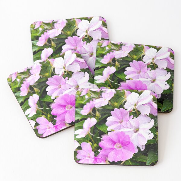 Item preview, Pink flowers with water droplets – Botanical Garden Photography designed and sold by pbchan.