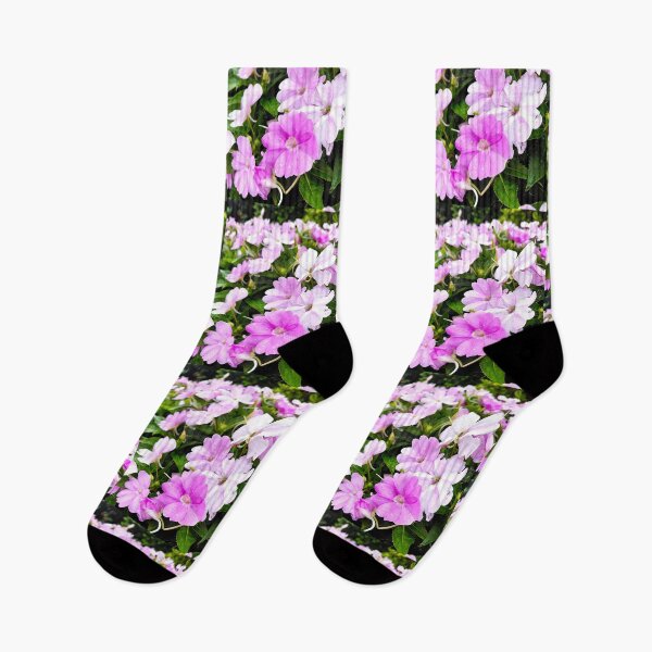 Item preview, Pink flowers with water droplets – Botanical Garden Photography designed and sold by pbchan.