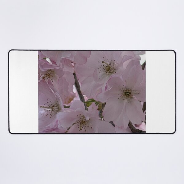Item preview, Dusty Rose Windsor Whisky aElegance designed and sold by dishcutnes.