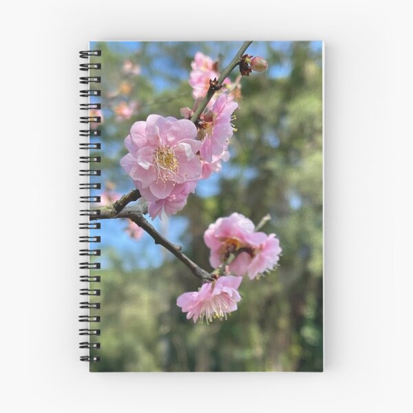 Item preview, Blush Pink The Capital Grille cWhispers designed and sold by dishcutnes.