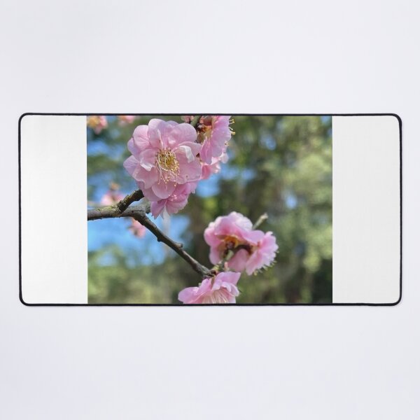 Item preview, Blush Pink The Capital Grille cWhispers designed and sold by dishcutnes.