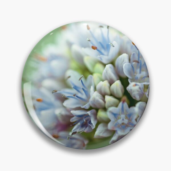 Item preview, Allium flower designed and sold by assaf.
