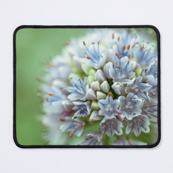 Item preview, Allium flower designed and sold by assaf.