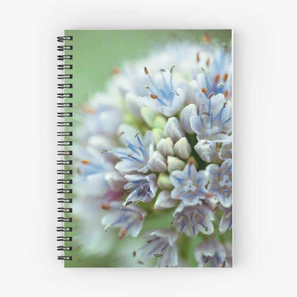 Item preview, Allium flower designed and sold by assaf.