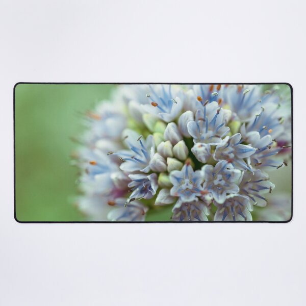 Item preview, Allium flower designed and sold by assaf.