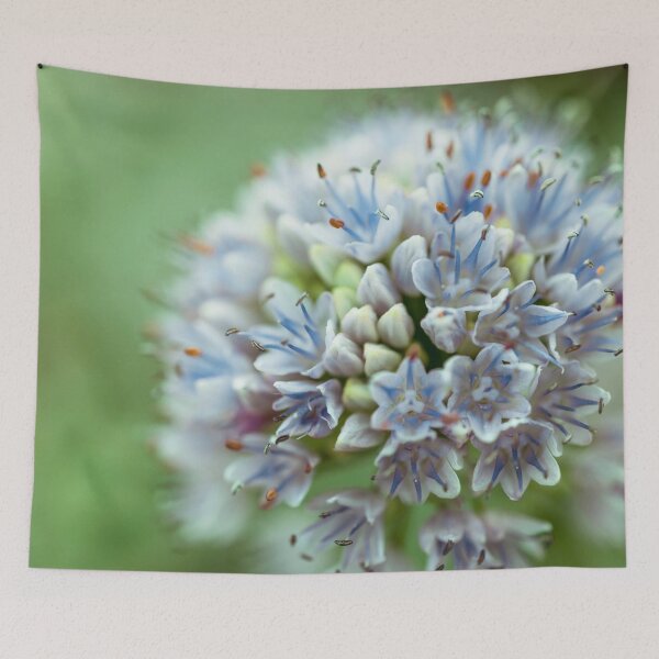 Item preview, Allium flower designed and sold by assaf.