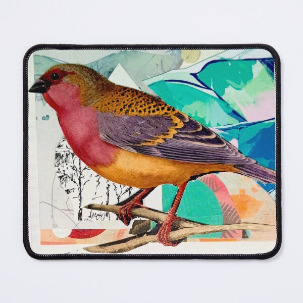 Item preview, Bird Life designed and sold by Cactuscuddles9.