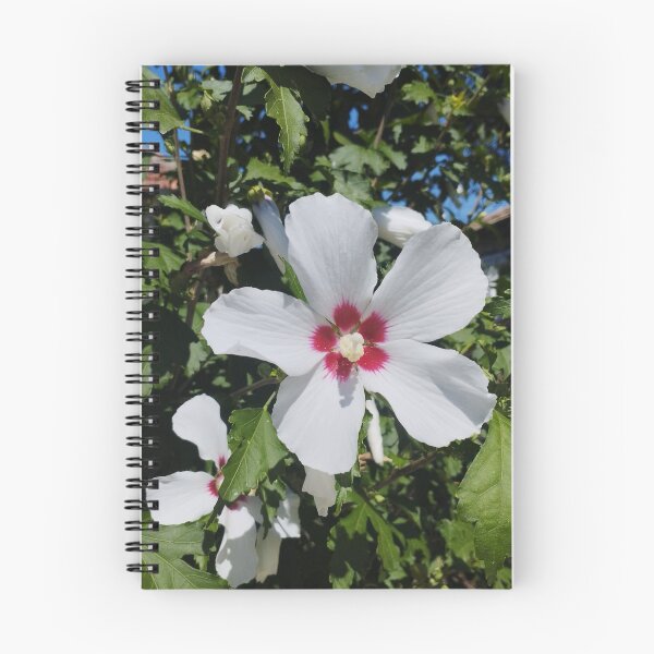 Item preview, White Hibiscus syriacus 'Red Heart' designed and sold by inspiration3.