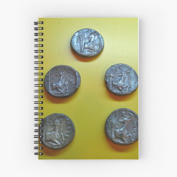 Item preview, Ancient greek coins designed and sold by Pai Lokli.