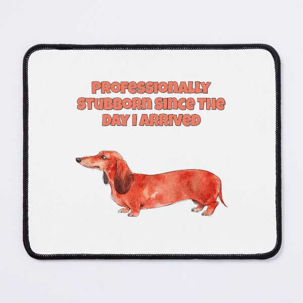 Item preview, Stubborn Dachshund Professionally Stubborn Dog Funny Art designed and sold by NatureUnleashed.