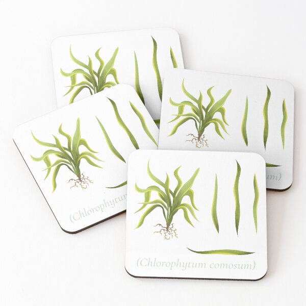 Item preview, CHLOROPHYTUM COMOSUM BOTANICAL NURSE designed and sold by FastZone.