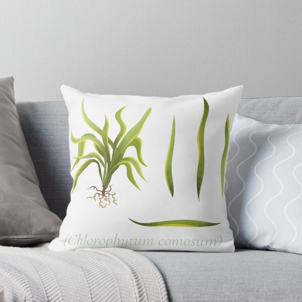 Artikelvorschau, Chlorophytum comosum Botanische Krankenschwester entworfen und verkauft von FastZone.