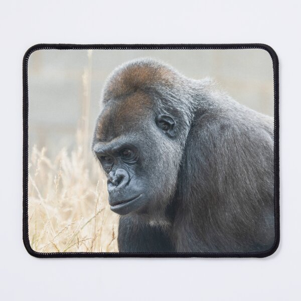 Item preview, Regal Matriarch Gorilla Ozala designed and sold by rawshutterbug.