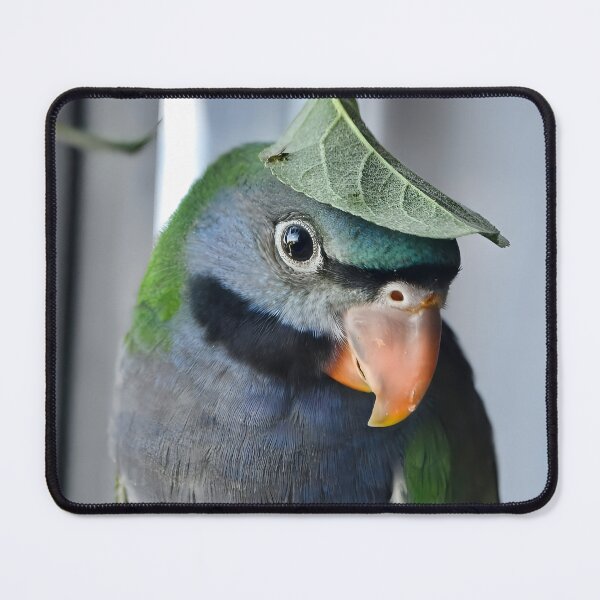 Item preview, Psittacula Derbiana designed and sold by Krameri Creations.