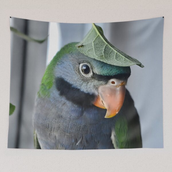Item preview, Psittacula Derbiana designed and sold by Krameri Creations.