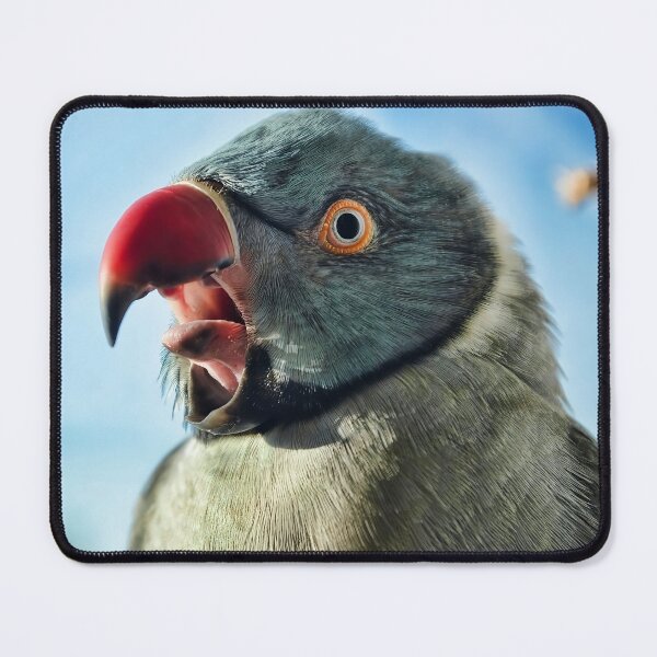 Item preview, Big Yawn designed and sold by Krameri Creations.