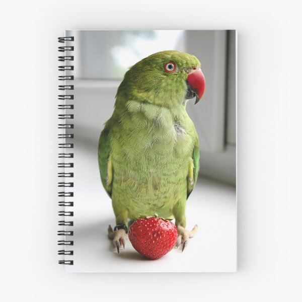 Item preview, Ringneck Parakeet designed and sold by Krameri Creations.