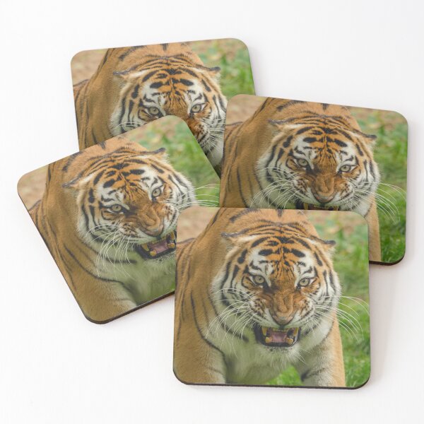 Artikelvorschau, Fierce Tiger Portrait – Powerful Bengal Tiger Wildlife Photography entworfen und verkauft von StyleForge Apparel.