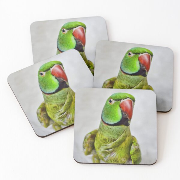 Item preview, Ringneck Parakeet designed and sold by Krameri Creations.
