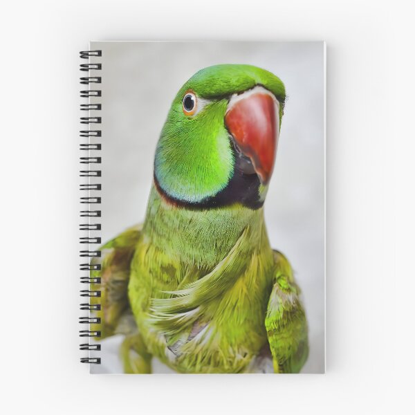 Item preview, Ringneck Parakeet designed and sold by Krameri Creations.