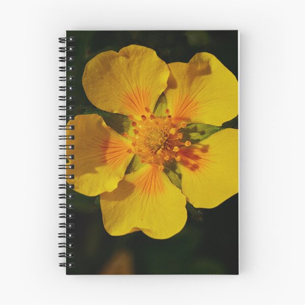 Item preview, Potentilla Flower designed and sold by Eidetic Photos.