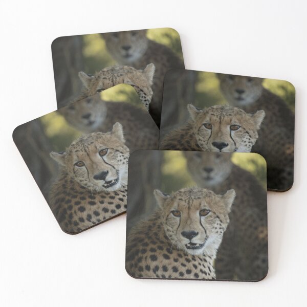 Item preview, Cheetah Companions – Majestic African Cheetah Pair Wildlife Portrait designed and sold by StyleForge Apparel.
