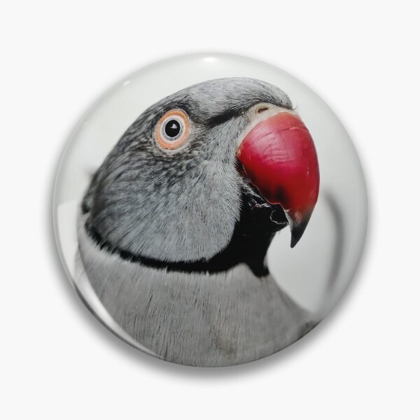 Item preview, Ringneck Parakeet designed and sold by Krameri Creations.