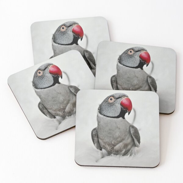 Item preview, Ringneck Parakeet designed and sold by Krameri Creations.