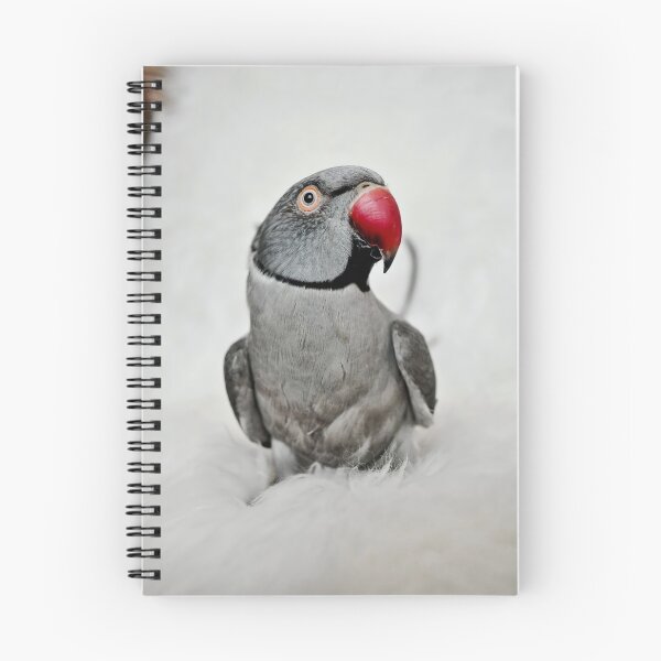 Item preview, Ringneck Parakeet designed and sold by Krameri Creations.
