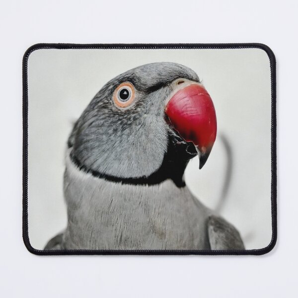 Item preview, Ringneck Parakeet designed and sold by Krameri Creations.