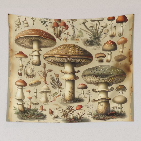 Item preview, The Forager's Field Guide designed and sold by ONYX Pixee.