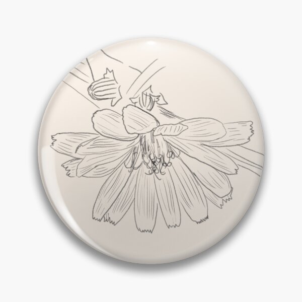 Item preview, Chicory sketched designed and sold by Gaillycools.