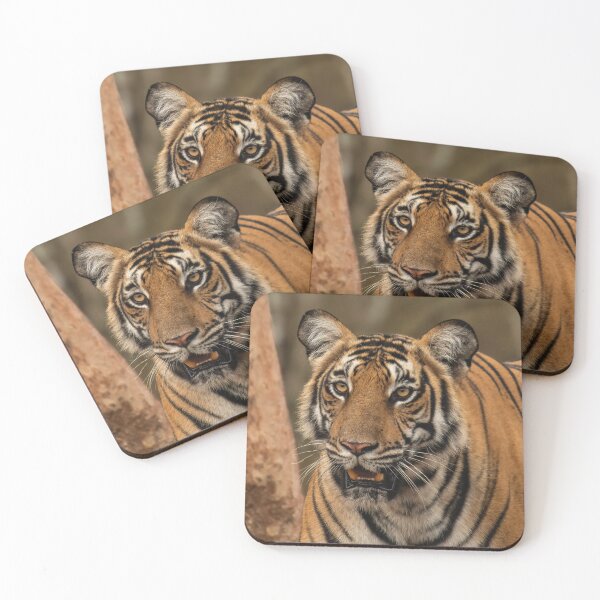 Item preview, Majestic Tiger Portrait – Powerful Wildlife and Big Cat Photography designed and sold by StyleForge Apparel.