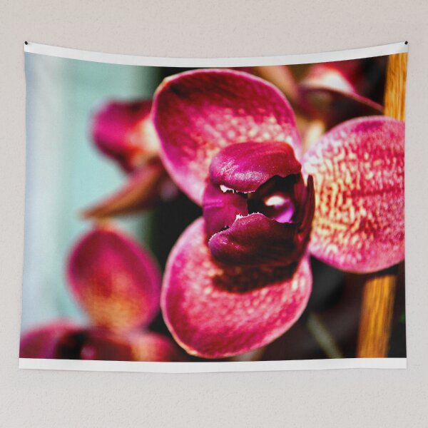 Item preview, Red Purple Orchid Flower Flowering Plant designed and sold by AndyEvansPhotos.