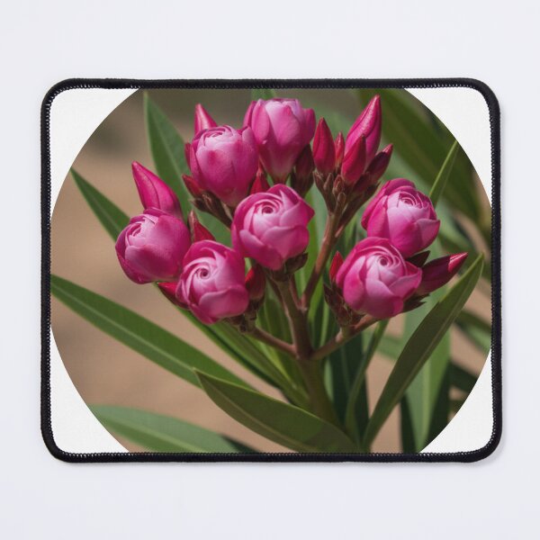 Item preview, Vibrant Pink Blooming Buds designed and sold by Petal-Path.