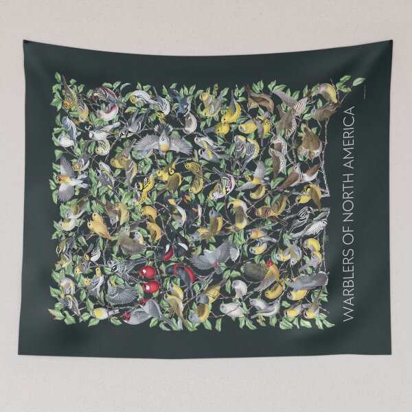 Item preview, Warblers of North America (Dark Background No Labels) designed and sold by JadaFitch.