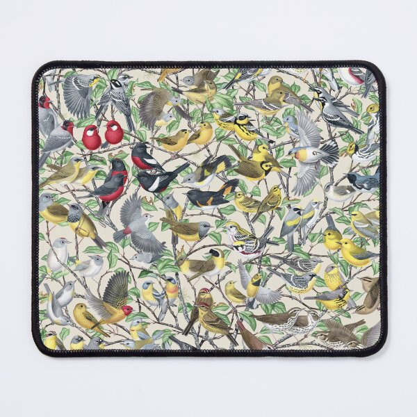 Item preview, Warblers of North America (Light Background No Labels) designed and sold by JadaFitch.