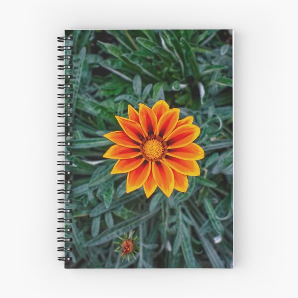 Item preview, The Fire Wheel — Orange Gazania designed and sold by Jomsunshine.