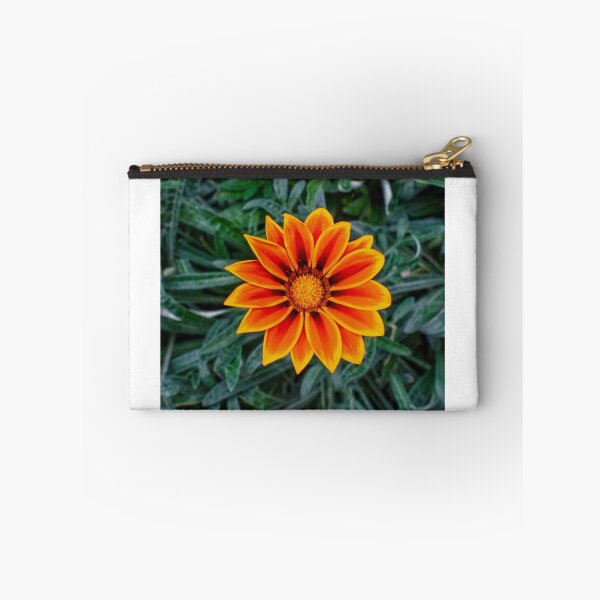 Item preview, The Fire Wheel — Orange Gazania designed and sold by Jomsunshine.