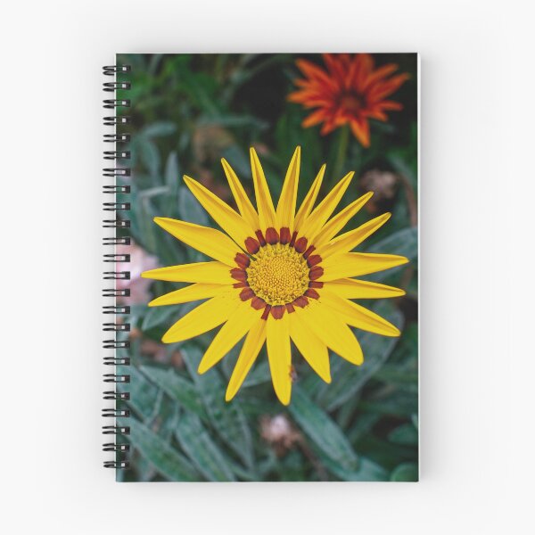Item preview, The Sun Star — Yellow Gazania designed and sold by Jomsunshine.