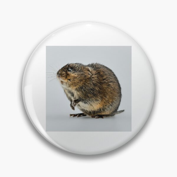 Item preview, European Water Vole designed and sold by wisniew--kitil.