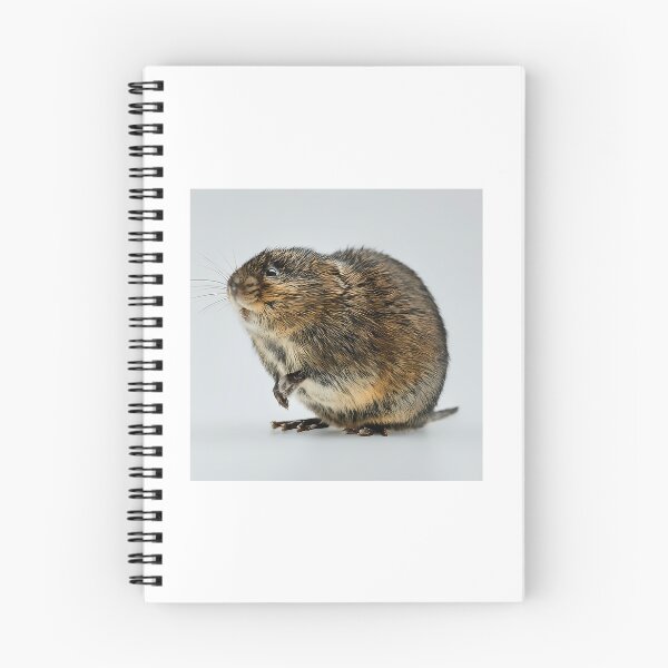 Item preview, European Water Vole designed and sold by wisniew--kitil.