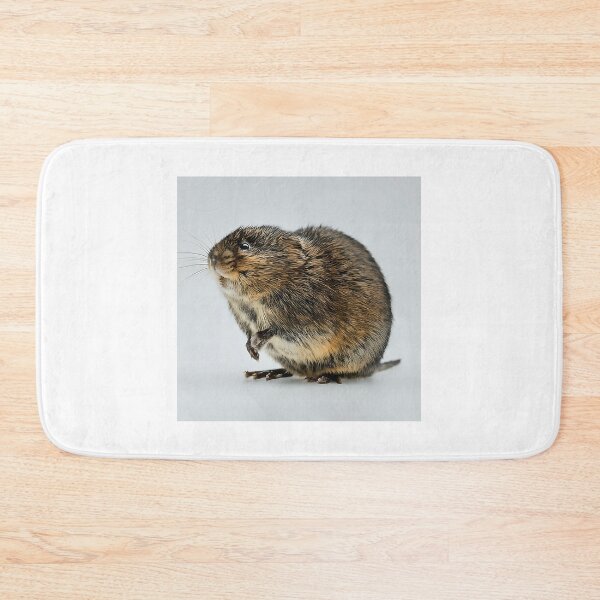 Item preview, European Water Vole designed and sold by wisniew--kitil.