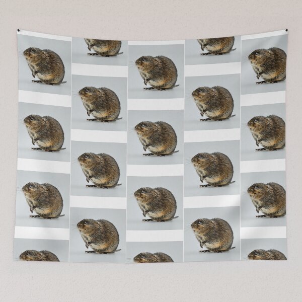 Item preview, European Water Vole designed and sold by wisniew--kitil.